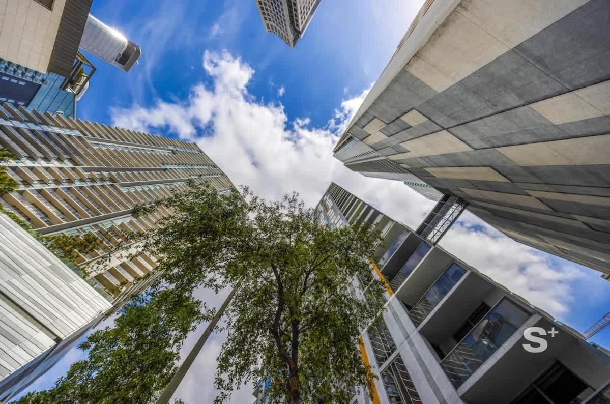 Stylish 2bd By Brickell Centre Apartment